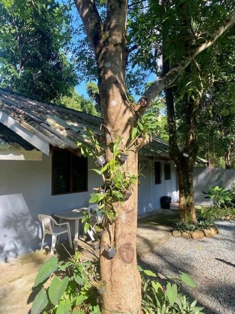 Kannika Resort 象岛 外观 照片
